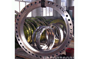 Titanium steel flange